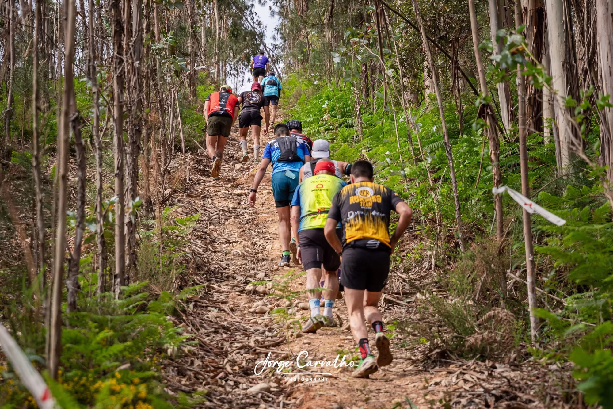 Momento Ameal Trail 7